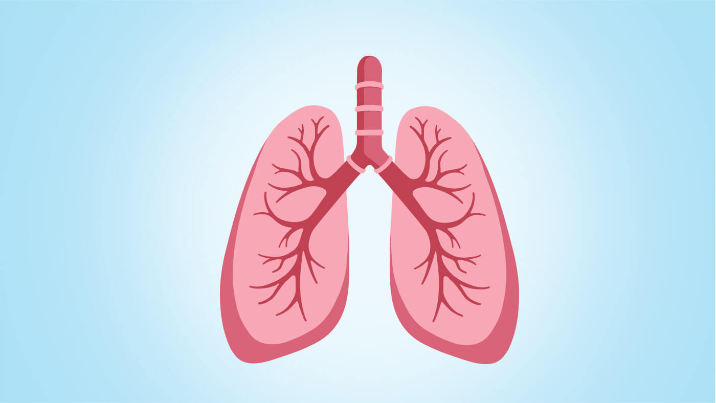 animation of lungs depicting how asthma works